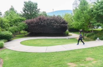 UTC Greenway